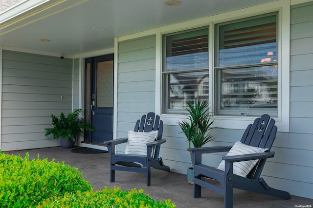 view of patio / terrace with a porch