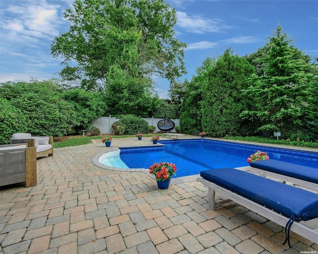 view of pool with a patio area