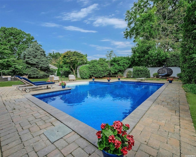 view of pool with a patio area and a diving board