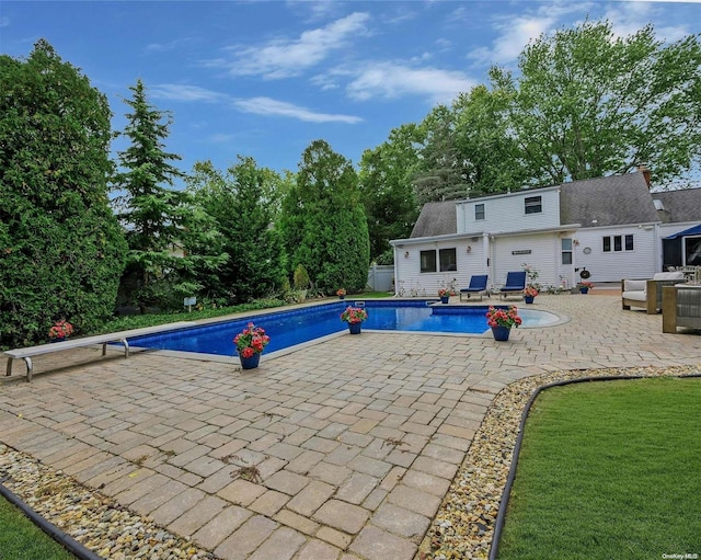 view of swimming pool featuring a diving board and a patio