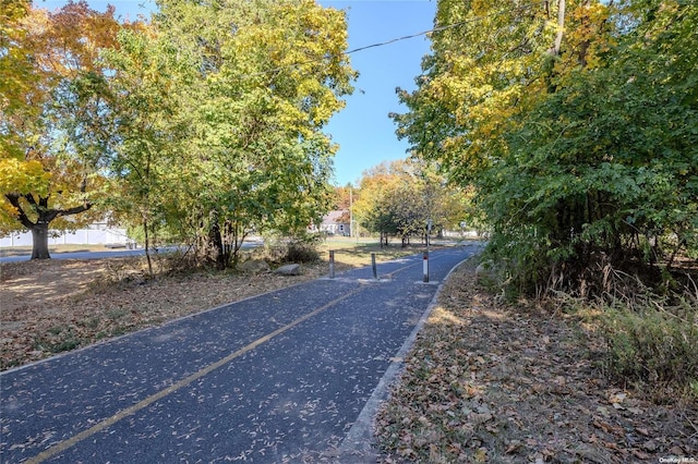 7 Radburn Ln, Port Jefferson Station, NY 11776 - photo 27