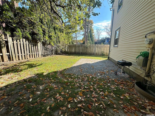 view of yard featuring a patio area