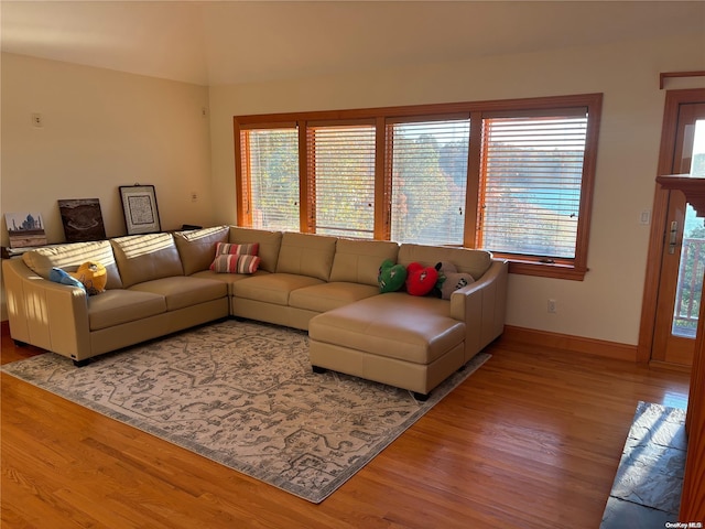 living room featuring a healthy amount of sunlight and light wood-type flooring