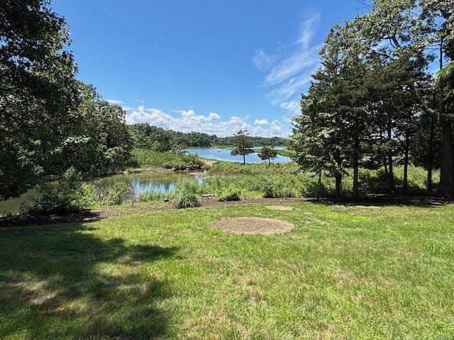 22 Flax Pond Woods Rd, East Setauket, NY 11733 - photo 41