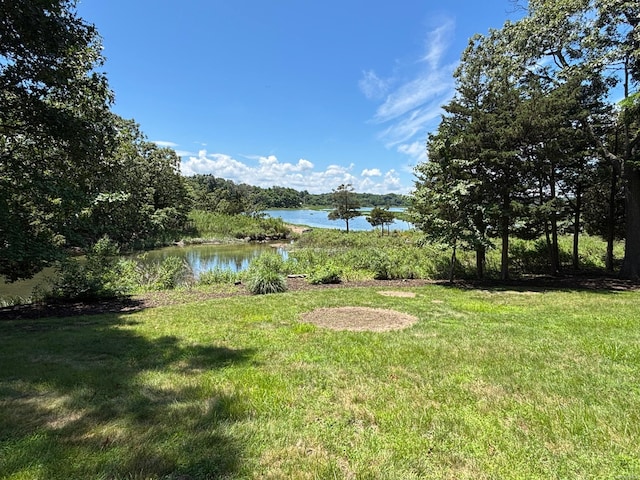 22 Flax Pond Woods Rd, East Setauket, NY 11733 - photo 42