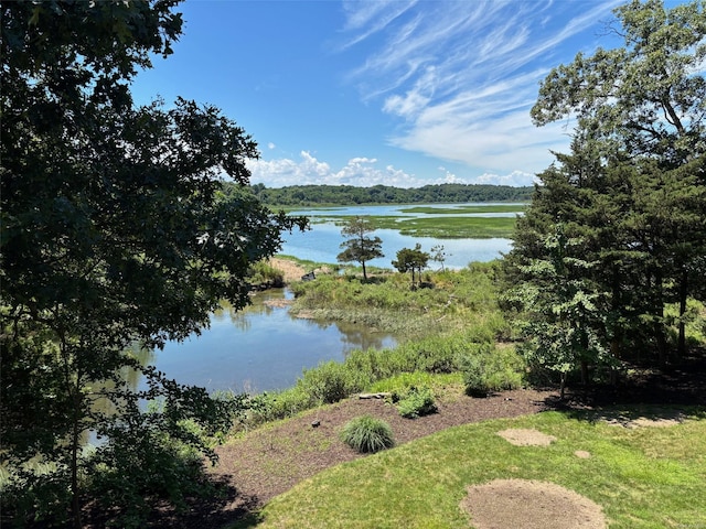 22 Flax Pond Woods Rd, East Setauket, NY 11733 - photo 46