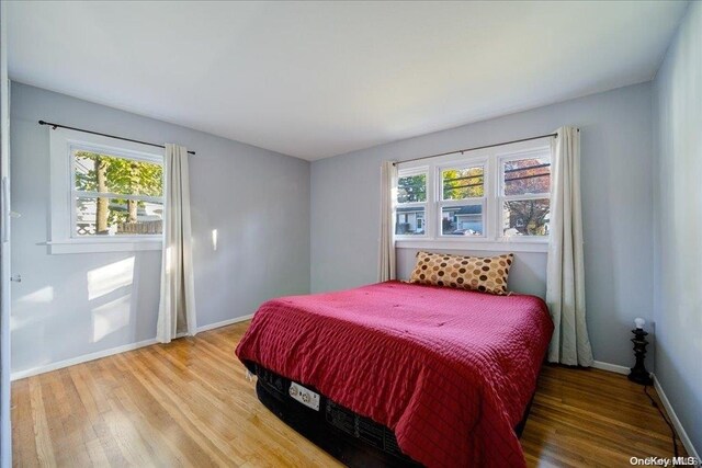 bedroom featuring multiple windows and hardwood / wood-style floors