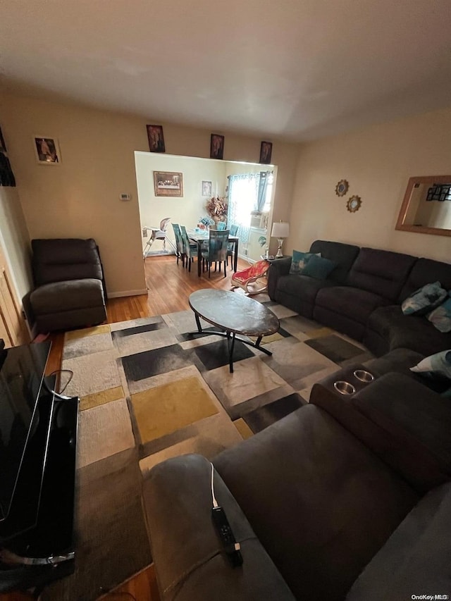 living room featuring light hardwood / wood-style floors