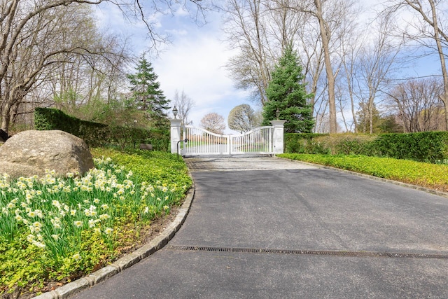 view of road featuring a gate and curbs