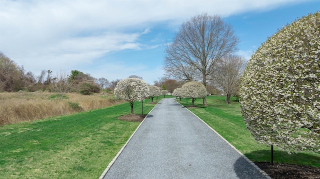 view of property's community with a yard