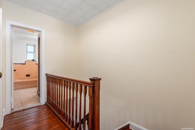 hall featuring dark wood-type flooring and ornamental molding