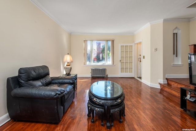 living room featuring crown molding, dark wood-type flooring, and radiator