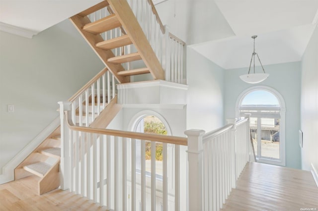 stairway with wood-type flooring