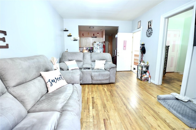 living room featuring light hardwood / wood-style flooring