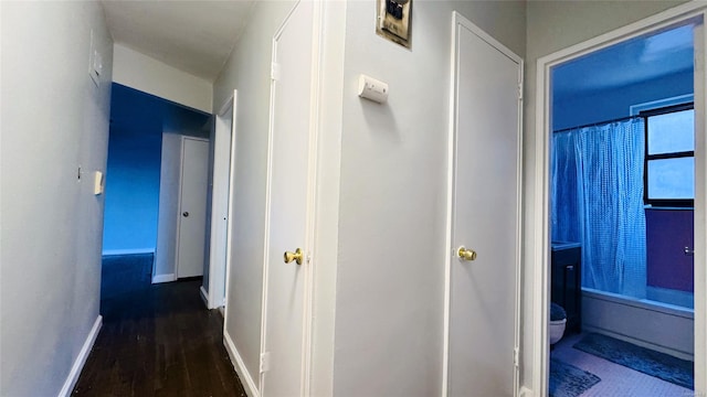 corridor with dark hardwood / wood-style floors