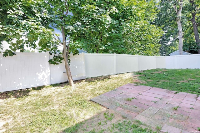 view of yard featuring a patio