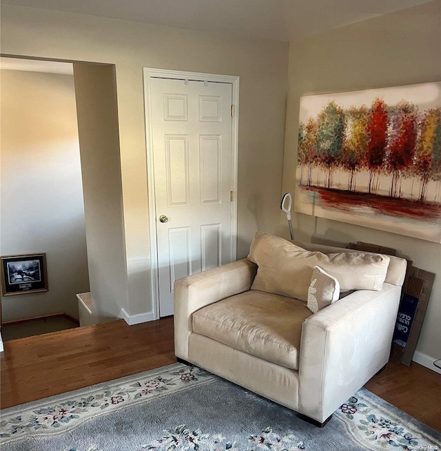 living area featuring wood-type flooring