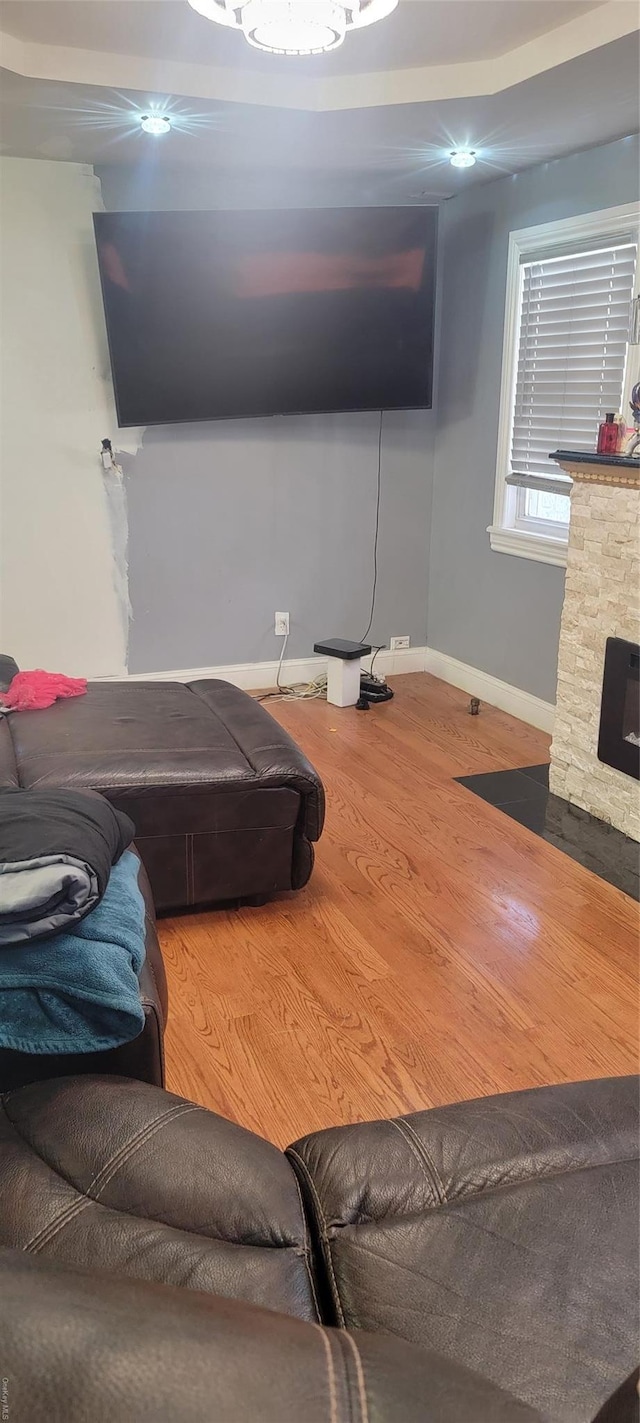 living room with hardwood / wood-style floors and a stone fireplace