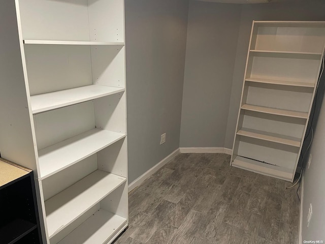 spacious closet featuring dark wood-type flooring