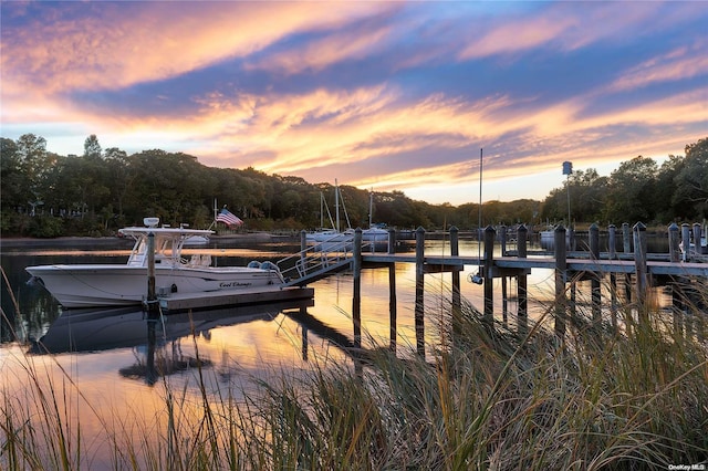 dock area featuring a water view