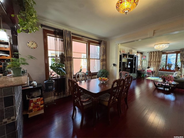 dining area featuring a healthy amount of sunlight, dark wood-type flooring, an inviting chandelier, and crown molding