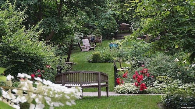 view of home's community with a yard