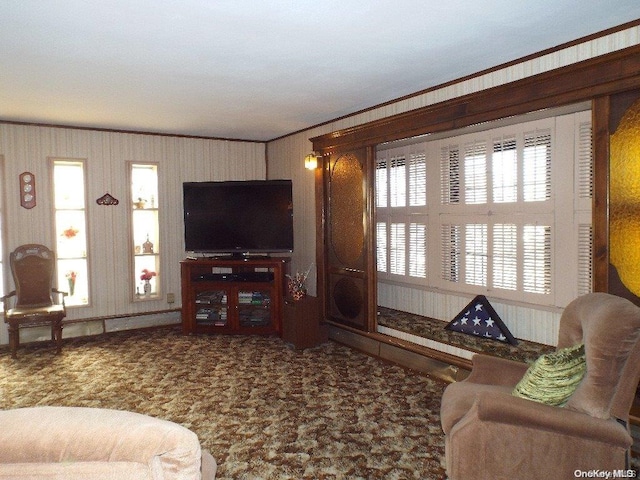 living room with crown molding and a healthy amount of sunlight