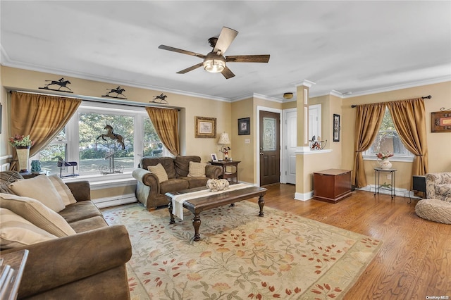 living room with ceiling fan, a baseboard radiator, a wealth of natural light, and light hardwood / wood-style flooring