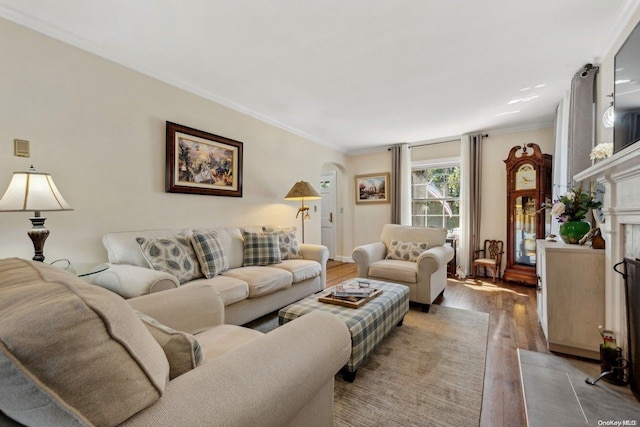 living room featuring wood-type flooring and ornamental molding