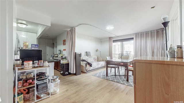 living room featuring light wood-type flooring