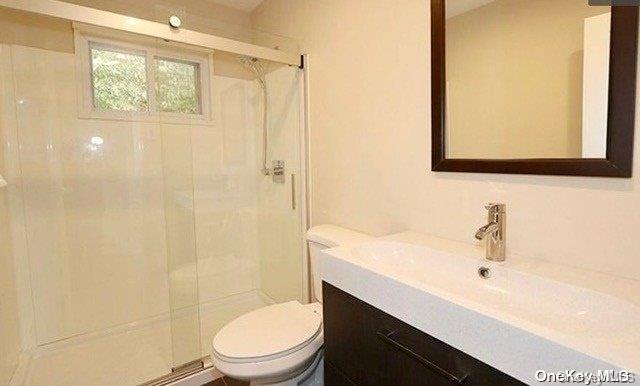 bathroom featuring vanity, toilet, and walk in shower