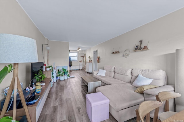 living room featuring light hardwood / wood-style floors