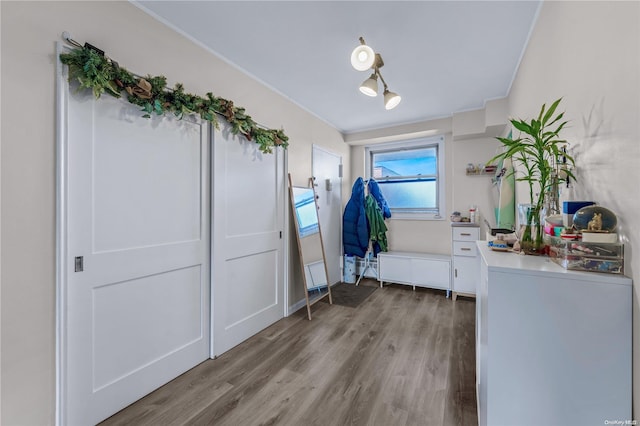 interior space with crown molding and light hardwood / wood-style flooring