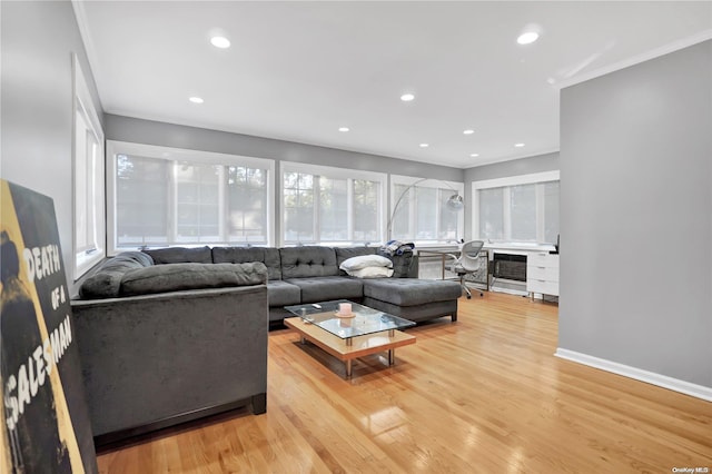 living room featuring built in desk, light hardwood / wood-style floors, and crown molding