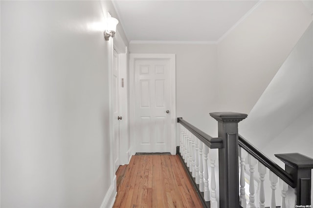 hallway with crown molding and wood-type flooring