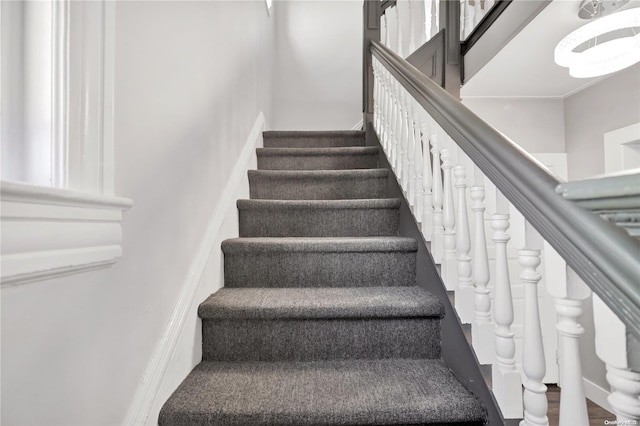 staircase with hardwood / wood-style flooring