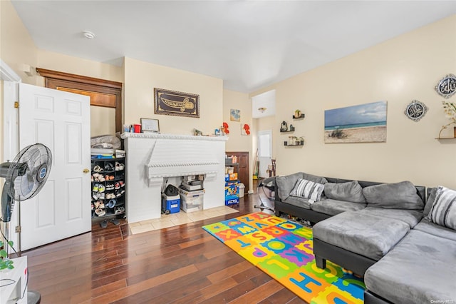 living room featuring hardwood / wood-style flooring