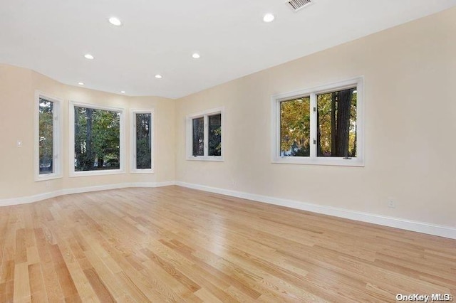 spare room with plenty of natural light and light hardwood / wood-style floors