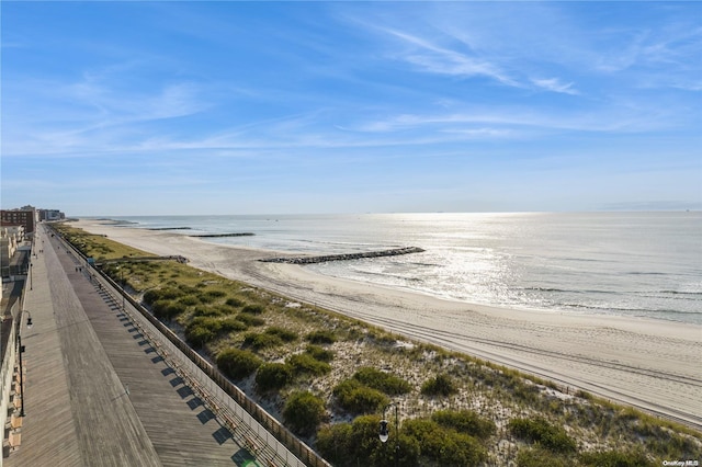 water view with a view of the beach