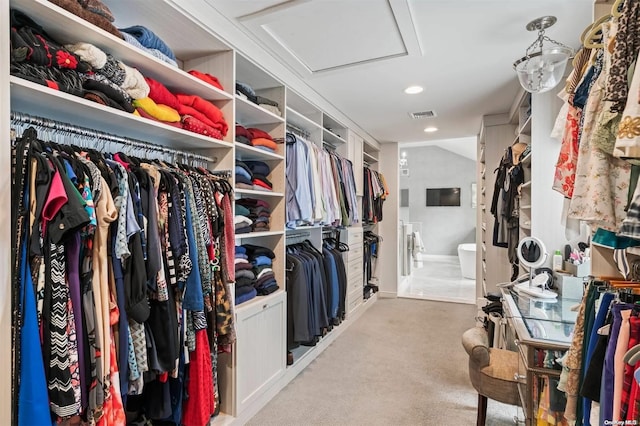 walk in closet with carpet floors