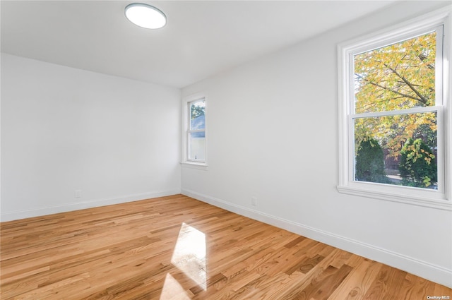 empty room featuring a wealth of natural light and light wood-type flooring