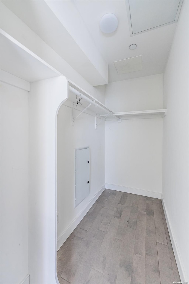 walk in closet featuring electric panel and light hardwood / wood-style flooring