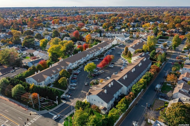 drone / aerial view