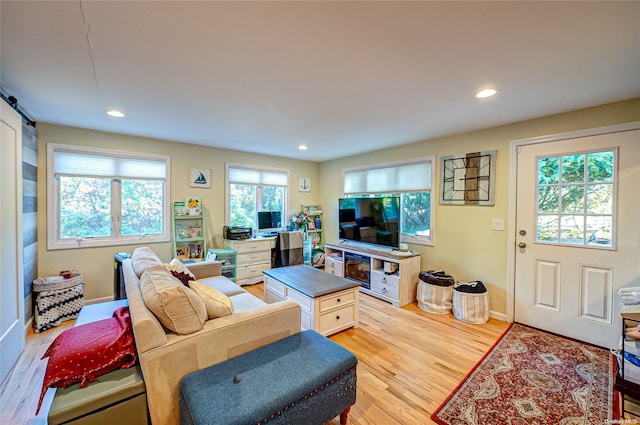 living room with light hardwood / wood-style floors and a barn door