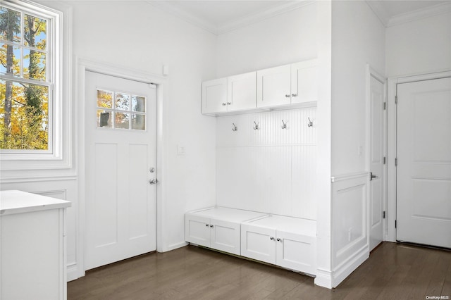 mudroom featuring dark wood-type flooring, a wealth of natural light, and crown molding