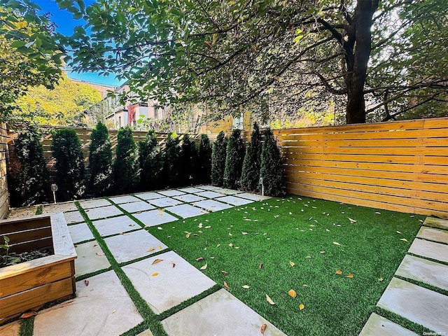 view of yard featuring a patio