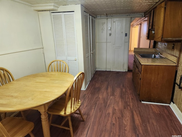 dining area featuring dark wood-type flooring and sink