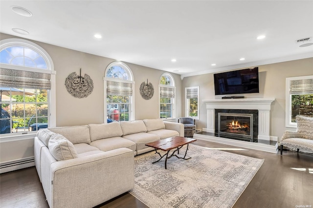 living room featuring a baseboard radiator, a healthy amount of sunlight, and dark hardwood / wood-style floors