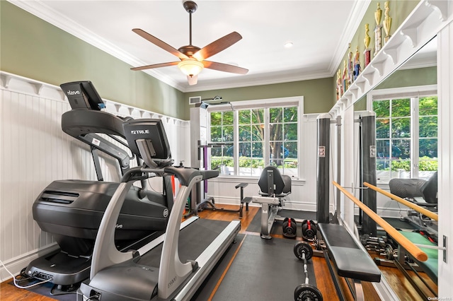 workout area with hardwood / wood-style flooring, ceiling fan, and ornamental molding