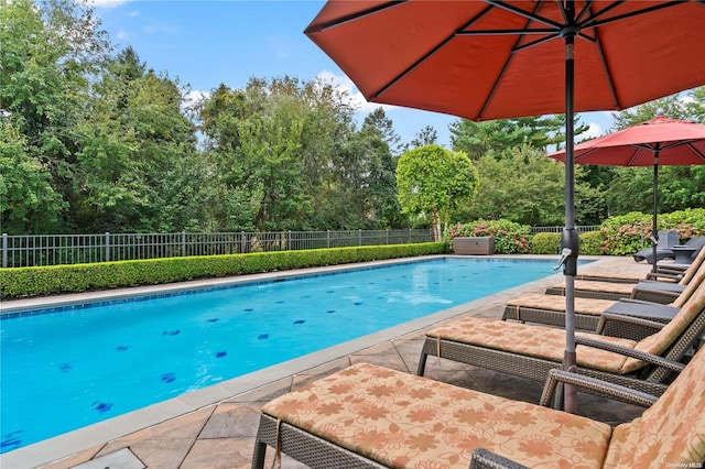 view of pool with a patio